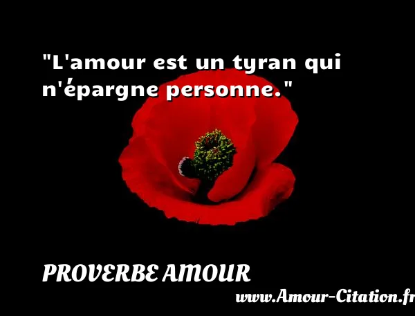 L amour est un tyran qui n épargne personne.  PROVERBE AMOUR