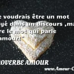  Je voudrais être un mot noyé dans un discours ,mais être le mot qui parle d amour!  PROVERBE AMOUR