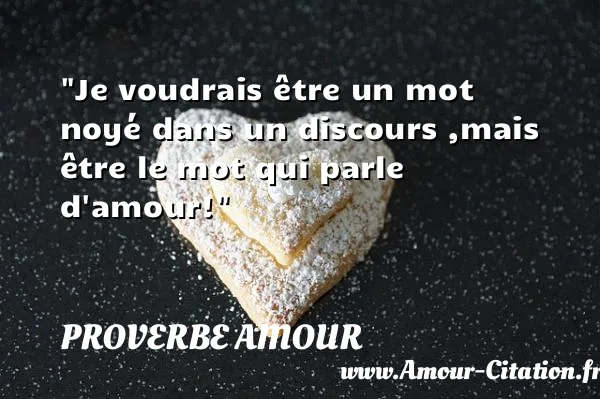 Je voudrais être un mot noyé dans un discours ,mais être le mot qui parle d amour!  PROVERBE AMOUR