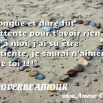  Longue et dure fut l attente pour t avoir rien qu à moi, j ai su être patiente, je saurai n aimer que toi !!!  PROVERBE AMOUR