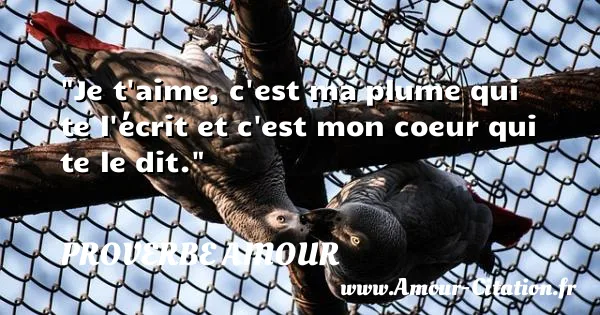 Je t aime, c est ma plume qui te l écrit et c est mon coeur qui te le dit.  PROVERBE AMOUR