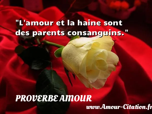 L amour et la haine sont des parents consanguins.  PROVERBE AMOUR