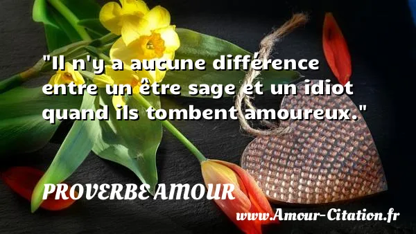 Il n y a aucune différence entre un être sage et un idiot quand ils tombent amoureux.  PROVERBE AMOUR