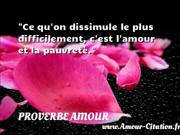 Ce qu on dissimule le plus difficilement, c est l amour et la pauvreté.  PROVERBE AMOUR