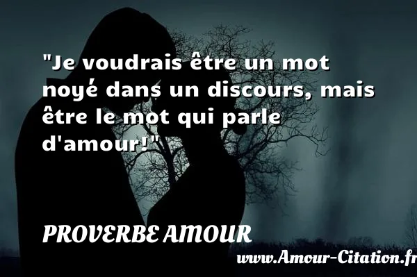 Je voudrais être un mot noyé dans un discours, mais être le mot qui parle d amour!  PROVERBE AMOUR