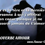  Tu es la 1ère et la dernière personne à qui j offrirai mon coeur puisque je ne cesserai jamais de t aimer !  PROVERBE AMOUR