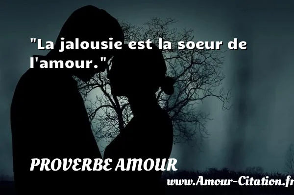 La jalousie est la soeur de l amour.  PROVERBE AMOUR