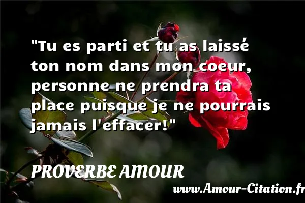 Tu es parti et tu as laissé ton nom dans mon coeur, personne ne prendra ta place puisque je ne pourrais jamais l effacer!  PROVERBE AMOUR