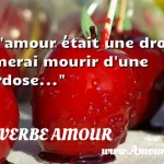 Si l amour était une drogue j aimerai mourir d une overdose...  PROVERBE AMOUR