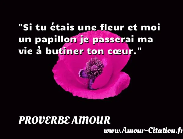 Si tu étais une fleur et moi un papillon je passerai ma vie à butiner ton cœur.  PROVERBE AMOUR