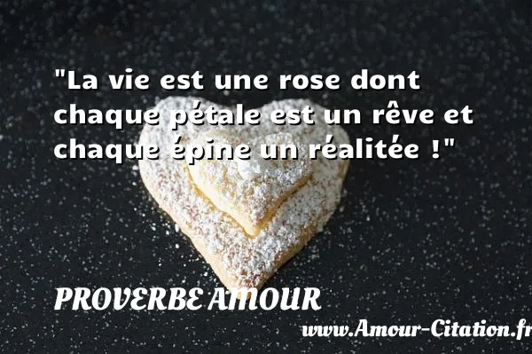 La vie est une rose dont chaque pétale est un rêve et chaque épine un réalitée !  PROVERBE AMOUR