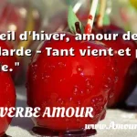  Soleil d hiver, amour de paillarde - Tant vient et peu tarde.  PROVERBE AMOUR
