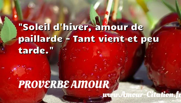 Soleil d hiver, amour de paillarde - Tant vient et peu tarde.  PROVERBE AMOUR