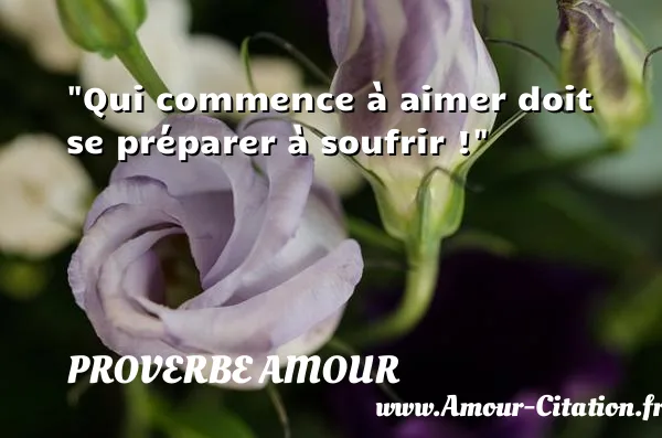 Qui commence à aimer doit se préparer à soufrir !  PROVERBE AMOUR