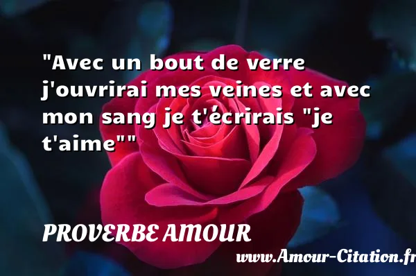 Avec un bout de verre j ouvrirai mes veines et avec mon sang je t écrirais  je t aime   PROVERBE AMOUR